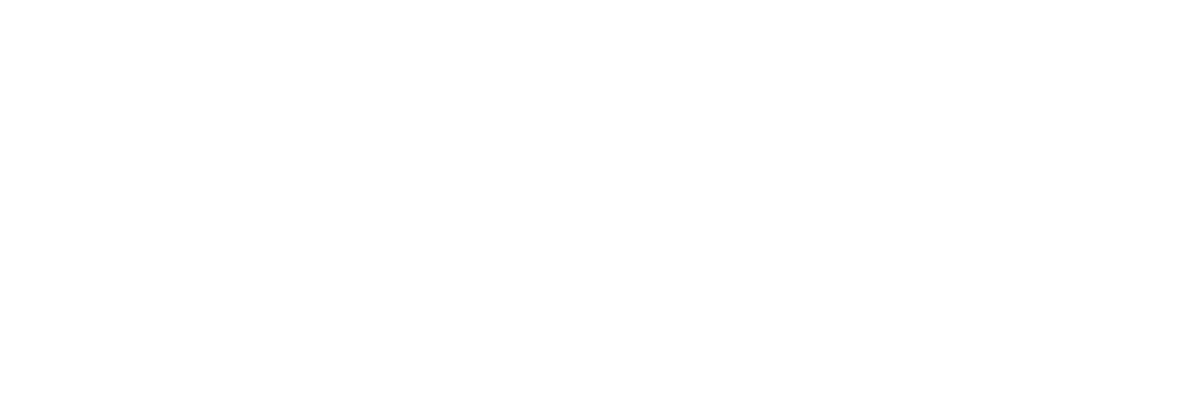 Pie de página del logotipo HiZone